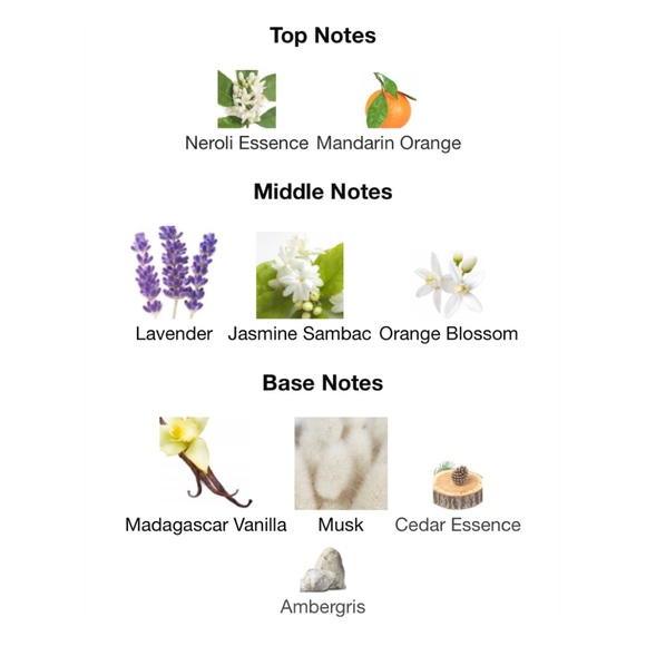 YVES SAINT LAURENT (YSL) Libre Eau de Parfum - .33 fl oz NIB - Picture 4 of 6